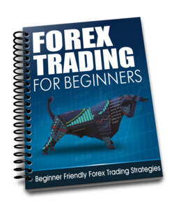 beginners guide to forex trading volumes